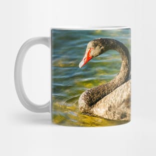 Black Swan, Perth, Western Australia Mug